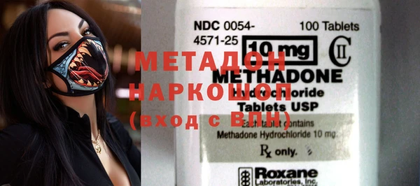 прущие грибы Абаза