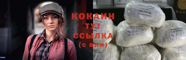 прущие грибы Абаза
