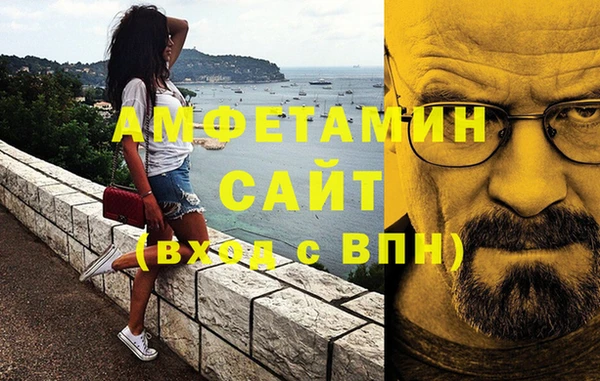 прущие грибы Абаза