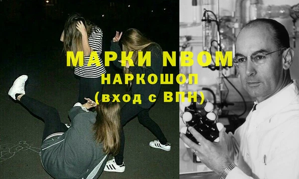 прущие грибы Абаза