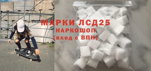 прущие грибы Абаза